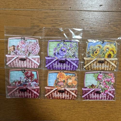 Ԃ̃oXPbgpbP[WJtȉԂ̃XebJ[6300Zbg DIY R[W CO V[ XebJ[ PET