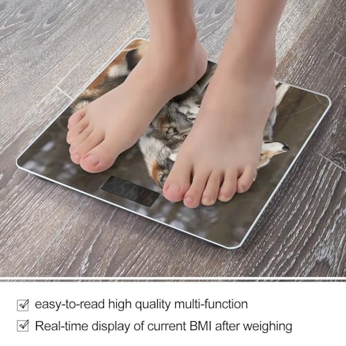 Báscula de Baño Digital con Vidrio Templado y Cinta Métrica miniatura 5