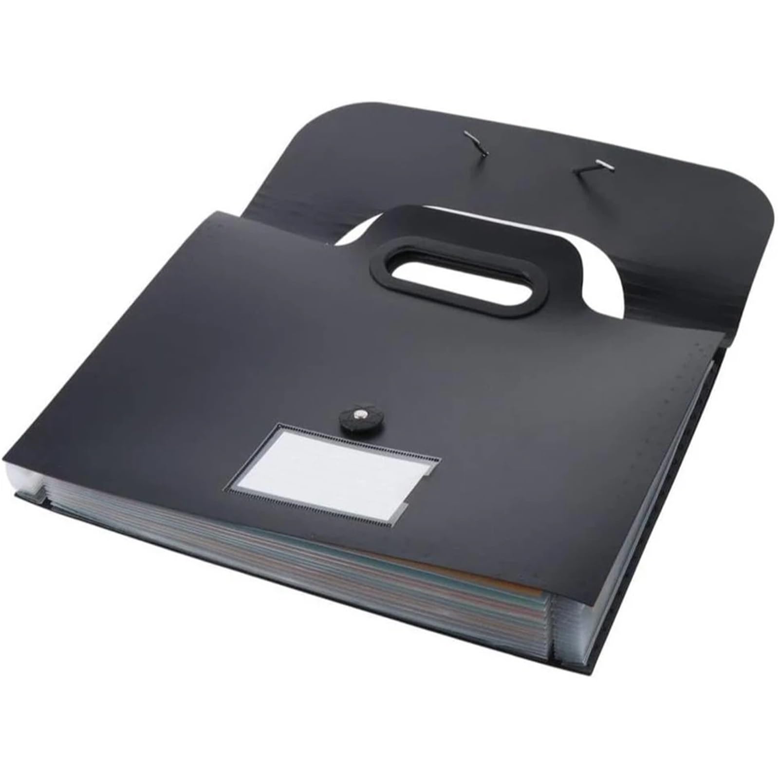 Carpeta Expandible De 1 Pieza Con Asa Para Escritorio | Carpeta de acordeón portátil en blanco y negro tamaño A4, pantalones con 13 bolsillos con solapa(White)
