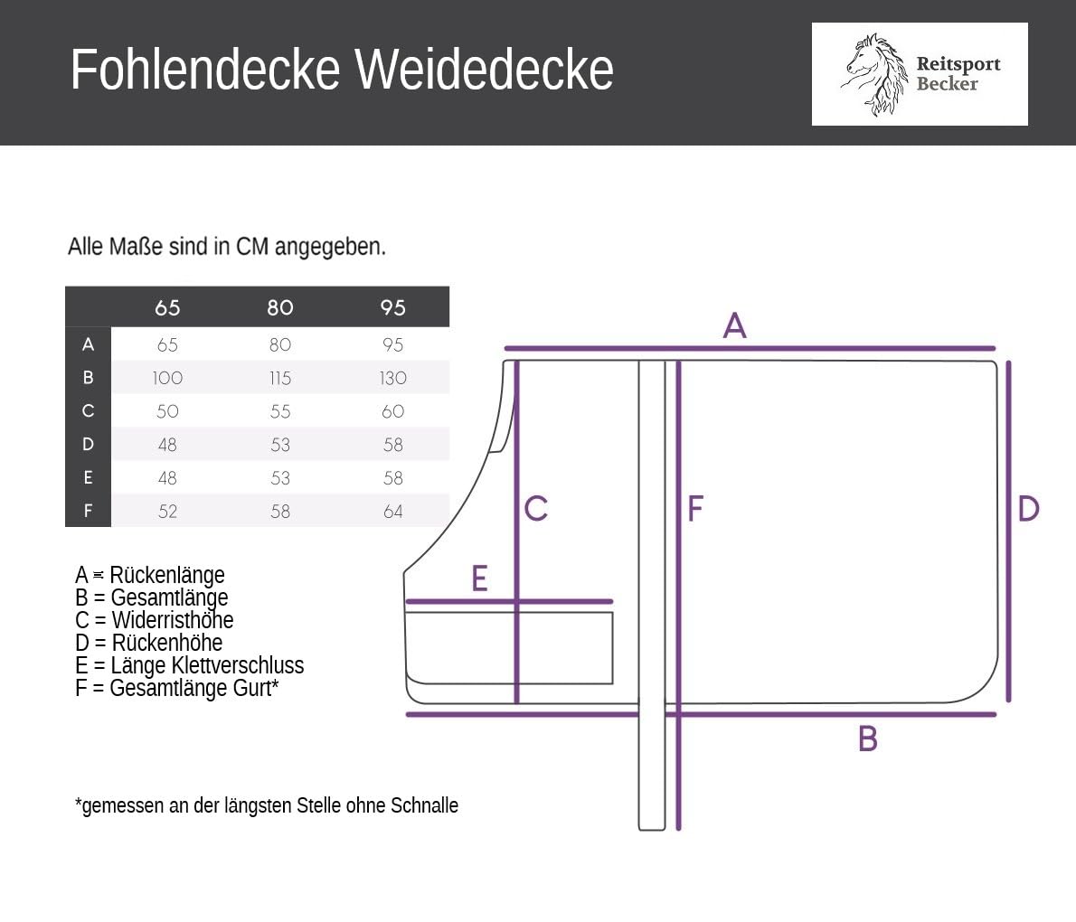 netproshop Pferdedecke Warme Fohlendecke 100g die Mitwächst - Atmungsaktiv, Wasserdichtigkeit, 600D, Groesse:65, Farbe:Lavendel