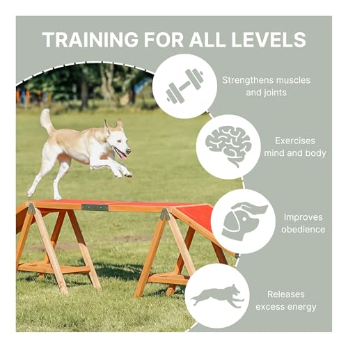 TRIXIE Hunde Agility Steg – Agility-Ausrüstung für Hunde als Laufsteg & Trainingsequipment, wetterfestes Agility-Gerät für Anfänger & Fortgeschrittene, 456 x 64 x 30 cm - 32090