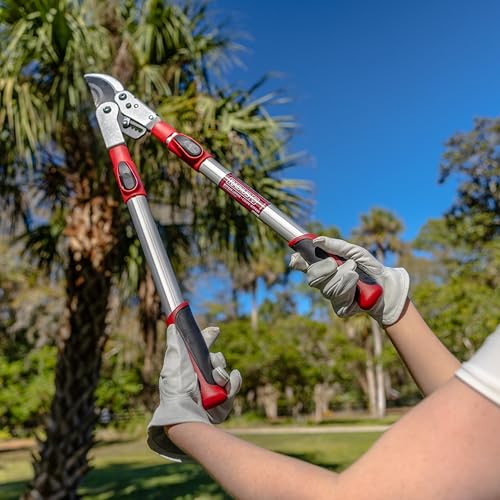 Tijera de podar Radius Garden 37" con mango telescópico miniatura 5