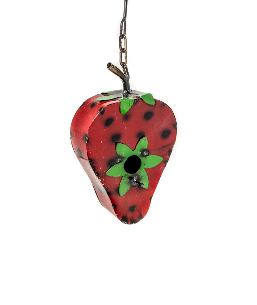 Rustic Arrow Strawberry Bird House, Multicolor