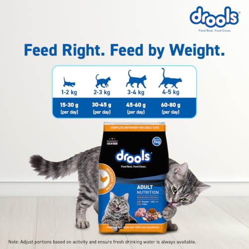 Image of Drools Adult Dry Cat Food 1.2kg Pack | Real Chicken Flavour |Taurine that Helps Maintain a Healthy Heart | Healthy Skin & Beautiful Coat | Complete Nutrition | Digestive Health | Healthy Growth