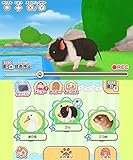 「かわいいペットとくらそう! わんニャン&アイドルアニマル」の関連画像