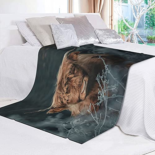 Asyourwish Ultra Soft Flannel Brown Cow Throw Blanket Highland Cattle Landscape Rustic Farmhouse All Season Warm Lightweight Cozy Plush Bed Blankets For Living Room/Bedroom 40 X 50 Inches #TOP7