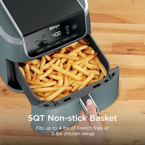 Image of Ninja Air Fryer Pro 5-in-1 | 5 QT Capacity, Air Fry, Bake, Roast, Reheat, and Dehydrate, Air Crisp Technology | Nonstick Basket & Crisper Plate | Sage | AF142GN