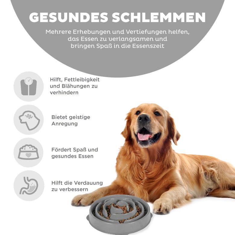 Outward Hound Antischlingnapf Hunde - Slow Feeder Hundenapf, für mehr Fressspaß, langsameres Fressen, beugt Blähungen vor, Rutschfester langlebiger Hunde Wasser- & Futternapf, Größe Mittel (Grau)