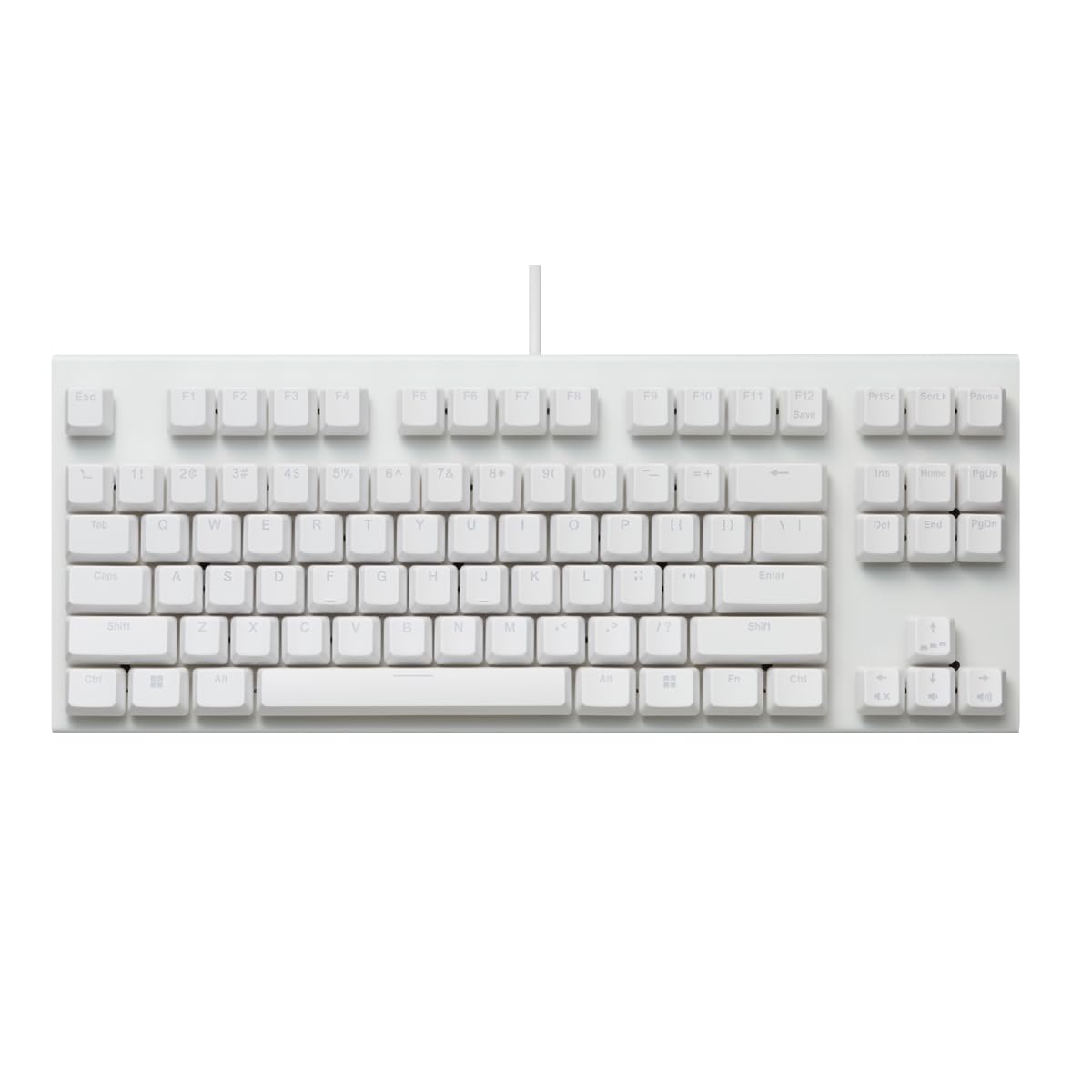 REALFORCE GX1 ホワイト 30g Amazon.com: Realforce Topre GX1 White TKL RGB Mechanical