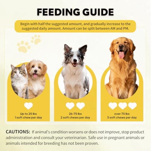 25-in-1 Dog Vitamins Supplements Multivitamin Chewable — texture and fabric close-up