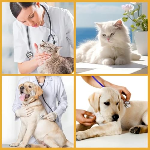 1 Stück Halskrause Hund, Bequemes Halsband zur Genesung von Haustieren, Wundschutz, Antileck-chirurgisches Genesungshalsband für Katzen und Hunde nach Operationen（Grau）
