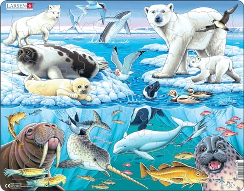 Larsen FH11 La fauna selvatica su e intorno a un iceberg artico, Puzzle Incorniciato con 75 pezzi