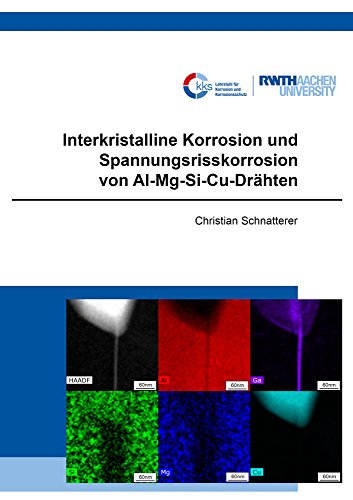 Interkristalline Korrosion und Spannungsrisskorrosion von Al-Mg-Si-Cu-Drähten (Schriftenreihe des Lehrstuhls für Korrosion und Korrosionsschutz)