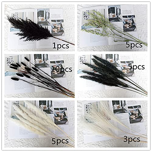 Black Dried Pampas Grass White Pampas Grass Plants Décor Boho Artificial Pampas Grass Branches For Wedding Flower Arrangements Home Décor #TOP3