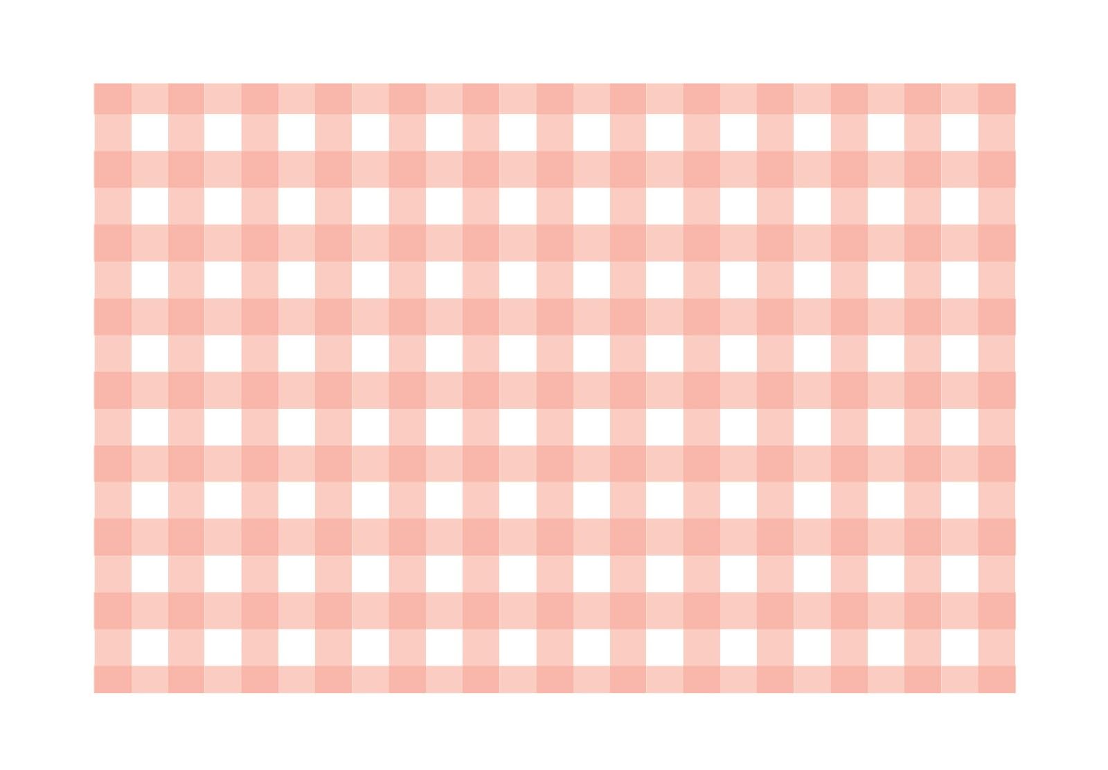 Coral Gingham Paper Placemats - Set of 24 Disposable Placemats 12" x 18" - Perfect for Weddings, Parties, Backyard BBQ's, Bridal/Baby Shower - Printed on Quality Thick Paper - Made in The USA
