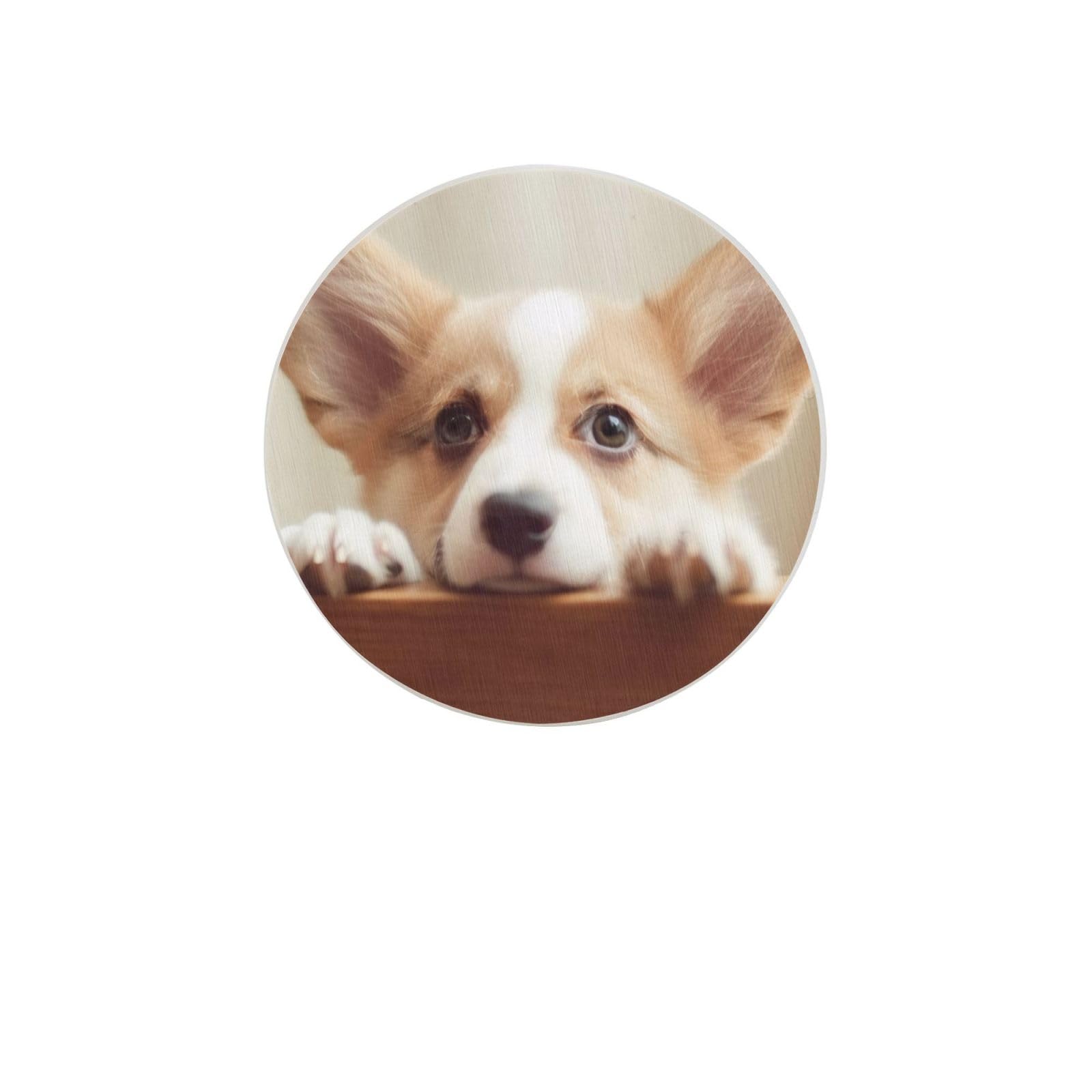 Cute Corgi Absorbent Drink Coasters Diatomaceous Round Coaster 4 Inch Reusable Cup Coasters Set 4pc
