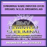 Brainwave Mind Voyages