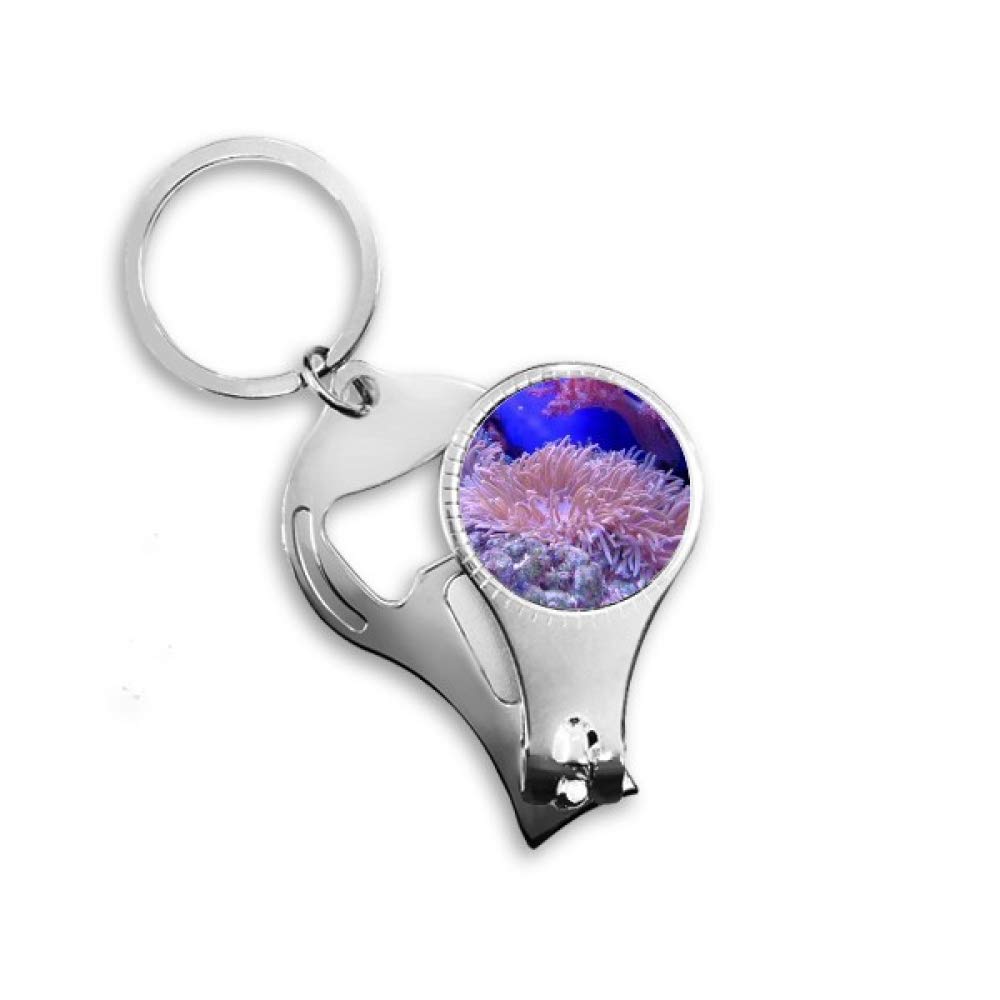 Pince à ongles et décapsuleur Ocean Coral pour vos sorties nature