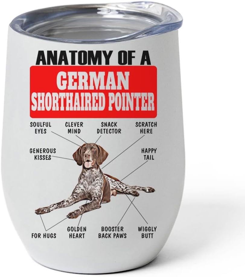 Brown Roan German Shorthaired Pointer Tumbler 12oz - Funny Anatomy Chart Design - Stainless Steel Vacuum Insulated Wine Cup With Lid - Gifts for Dog Lovers