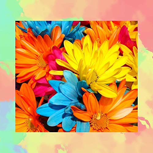 Play Music for Chill Bars Acoustic Guitars by Cool Coffee Jazz on