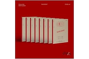 Stray Kids - MAXIDENT Dreamus Stray Kids