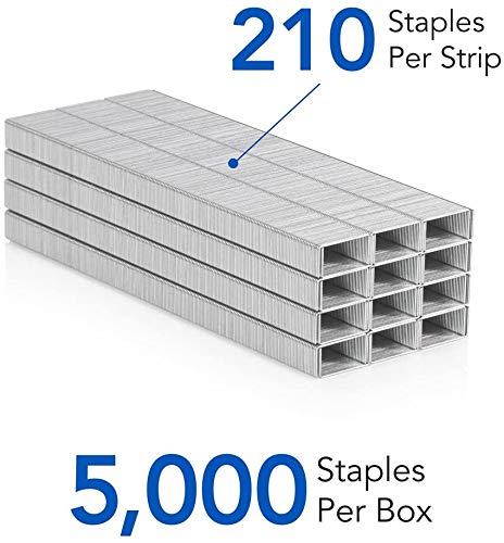 Standard Staples, Chisel Point Standard Staples, 210 Staples Per Strip, 20 Sheets Capacity, 1/4" Length, 5,000 Staples Per Box - 1 Box