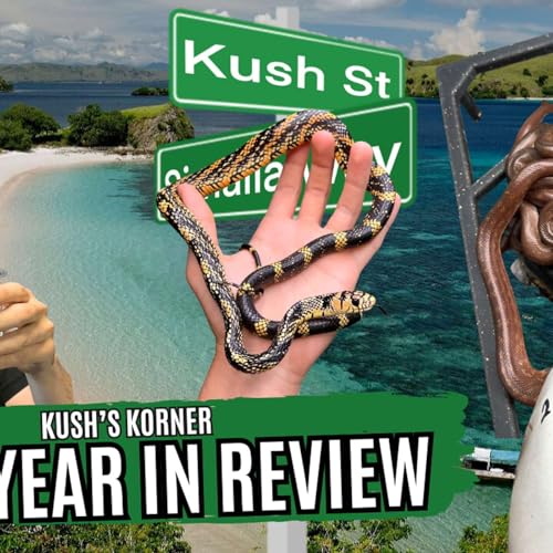 A Deep Dive Look Into The 2025 Season | Kush's Korner Ep.93 Podcast Por  arte de portada