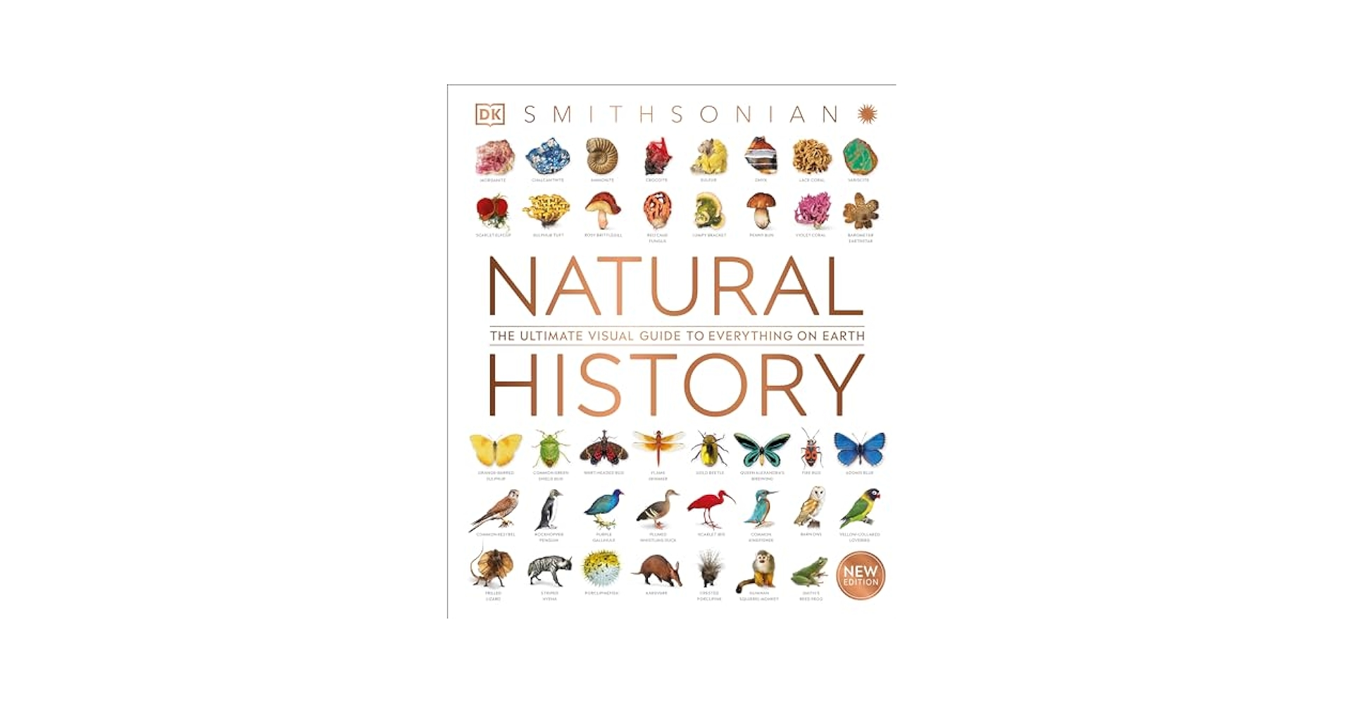 洋書 The natural history book The natural history book : the ultimate visual guide to