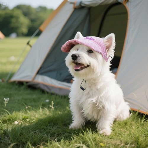 Personalisierte Hundemütze mit Gesticktem Namen Sonnenhut Hund Hundehut Verstellbar Hunde Cappy Hunde Cap Hundeaccessoire Geschenk (B)