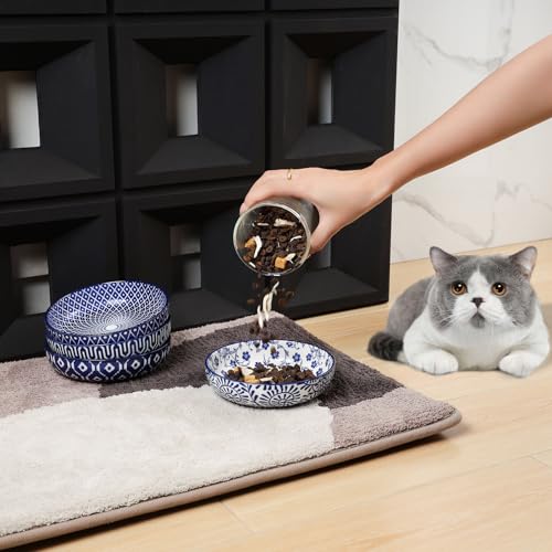 Selamica Ceramic Cat Food Bowl Set of 4, 5.6 Inch Wide Shallow Cat Bowls/Dishes for Food and Water, Vintage Blue - Image 5