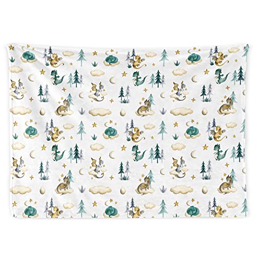 Image of Dinosaurs Baby Blanket for Boys, Soft Dinosaurs Plush Flannel Blanket for Newborns Baby Infants Toddlers, Dinosaurs Toys Gifts for Boy Baby Shower Birthday Easter Nursery Room Decor, 30"x 40"