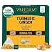 VAHDAM, Turmeric + Ginger POWERFUL SUPERFOOD Herbal Tea, 100 Count | Turmeric Tea Bags | Herbal Tea Bags | POWERFUL Wellness & Healing Properties of TURMERIC TEA with GINGER | Detox Tea