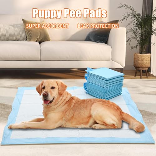 Tapis d'urine pour chiot tapis apprentissage propreté chat lapin