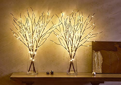 Litbloom Lighted Brown Willow Branches 30In 150 Led Plug In With Timer And Dimmer Tree Branch Lights With Warm White Lights For Holiday Christmas Home Decoration #TOP4