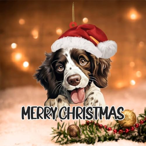 Swavecat English Springer Spaniel Ornamenti da appendere English Springer Spaniel Cane con Cappello di Babbo Natale Decorazione di Buon Natale Ornamenti Acrilici Stampa su entrambi i lati Decorazione