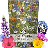 California Regional Mix – 79,000 Seeds for Planting – 2026 Season – 4 Ounce Pouch