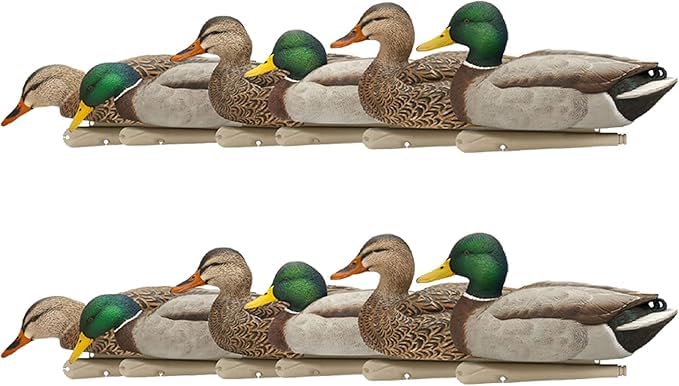 Avian X Topflight Floating Fusion Mallards with Rugged Design and True to Life Postures for Hunting Purposes, Outdoor Sports, and Recreation, 12 Pack