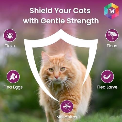 Image of Medfly Spot On Solution for Cats (Pack of 3) | Effective Treatment for Tick, Flea, Lice | Complete Parasite Protection - Keeps Cats and Kittens Healthy and Happy (Pack of 3)