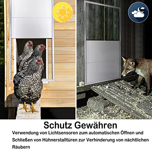 UISEBRT Hühnerklappe Automatische Hühnertür Elektrische Chicken Coop 30 x 30cm Hühnerstall Tür mit Zeitgeber und… – Bild 4