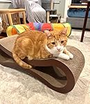 Review Image by K. Spencer K. Spencer