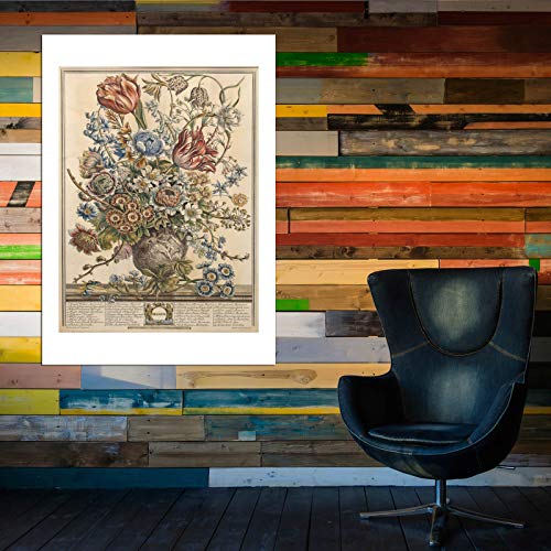 Lámina botánica Doce meses de flores de Robert Furber, impresión artística decorativa 6