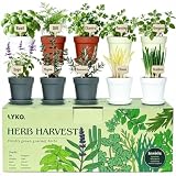 10 Indoor Herb Garden Kit, 33-Piece Complete Kitchen Herb Starter Set