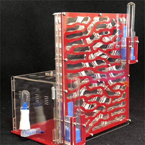 6 Couches Fourmi Raisin humidité Zone d'alimentation Fourmi Ferme Acryl Insecte Villa Fourmis nids Villa Animal de Compagnie avancée Manie pour Fourmis...