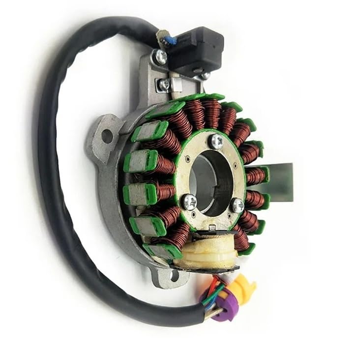 Bobine magnéto JS250 pour quad Lo Ba 250CC et ATV250-5 12V 16 pôles