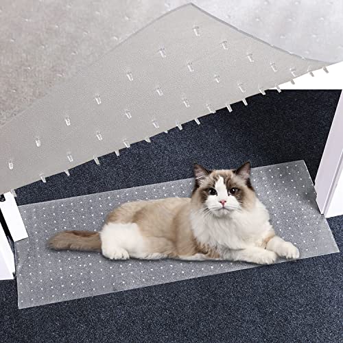 Find The Best Cat Scratch Carpet Protector Reviews & Comparison Katynel