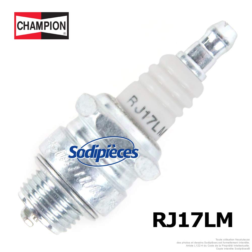 ChampionRJ17LM/T10 Spark Plugs