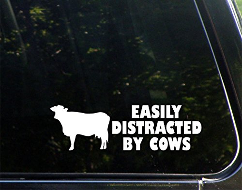 Sweet Tea Decals Easily Distracted by Cows - 8 3/4
