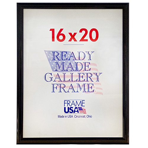 Frame USA 16x20 Deluxe Polystyrene Plastic Poster Frames (Black), Made in America