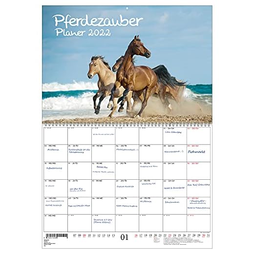 Hästmagi planerare DIN A2 uppvikt – kalender för 2022 hästar och föl – presentset innehåll: 1 x kalender, 1 x julkort (2 delar totalt)
