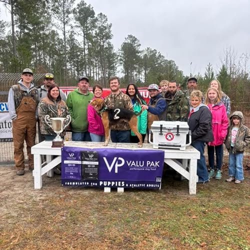 Episode 126: GBK Kennels - ODO Domination Part 1